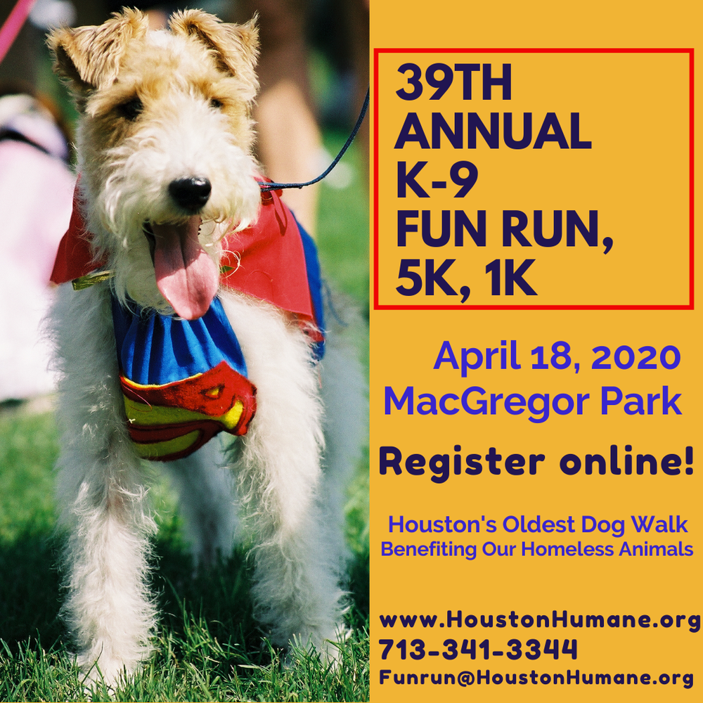 OOOPS No Photo Added By User