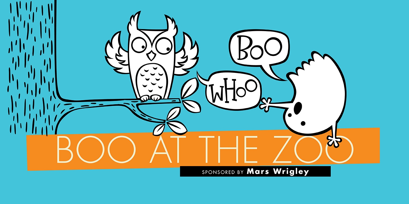 OOOPS No Photo Added By User